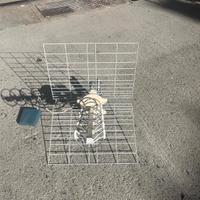 antenna digitale terrestre