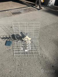 antenna digitale terrestre