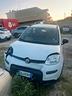 fiat-panda-2022-ibrida-sinistrada