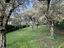 Immagine 27
