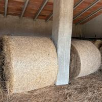 Rotoballe/balloni di fieno