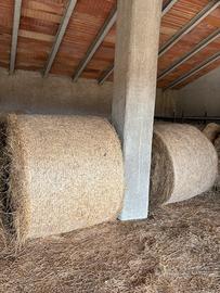 Rotoballe/balloni di fieno