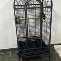 Voliera montana mew jersy x papagalli