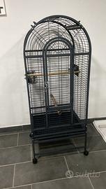 Voliera montana mew jersy x papagalli