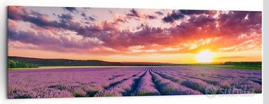 2 stampe Quadri lavanda / montagna 160x50