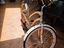 Immagine 2