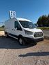 ford-transit
