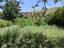 Immagine 25