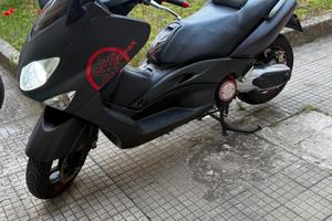 T Max 500
