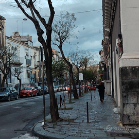 Bilocale zona via plebiscito