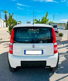 Fiat Panda 4x4 1.3 multijet 75 Cv Climbing
