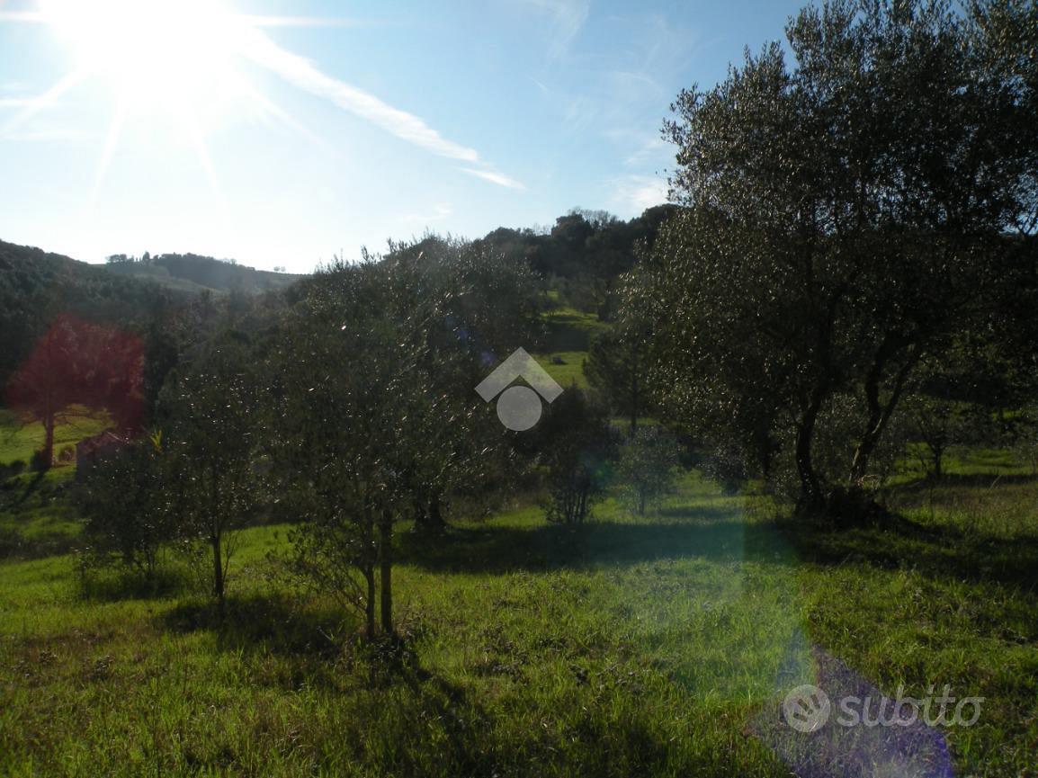 TER. RESIDENZIALE A GROSSETO - Vista 2