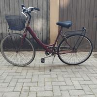 Bicicletta con cestino