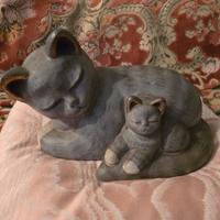 Raro gatto di Thun con gattino