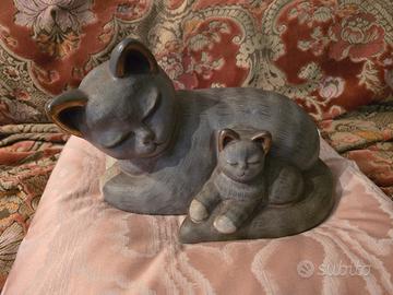 Raro gatto di Thun con gattino