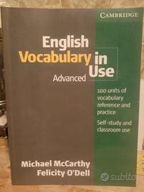 english vocabulary in use