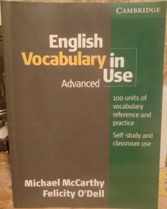 english vocabulary in use