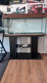 acquario 180 L