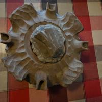 Grolla tradizionale trentina – oggetto autentico e