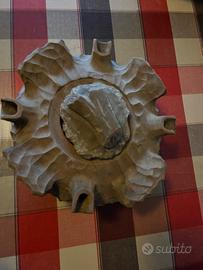 Grolla tradizionale trentina – oggetto autentico e