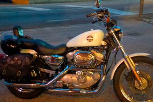 H-D Sportster 883 anno 2002