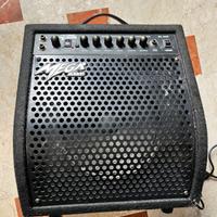 Amplificatore per chitarra acustica DL-30R