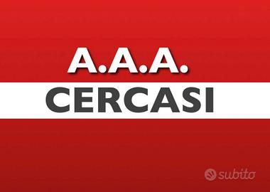 Coppia giovane e affidabile per appartamento