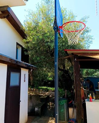 tabellone canestro basket 