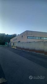 Immobile di 1300 m² a Guidonia Montecelio