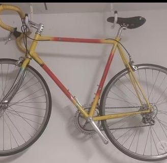 Bici usata uomo con piantone manubrio da sistemare