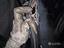 Immagine 13