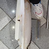 Derive barchini per la pesca sportiva 