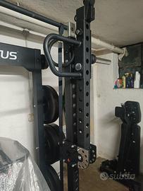 Lacertosus Power arms