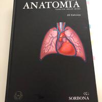 Libro ANATOMIA di Vamputte - Regan - Russo