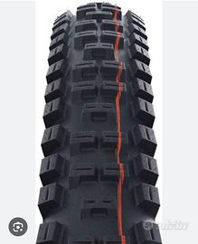 Schwalbe copertone big betty