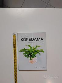 Kokedama