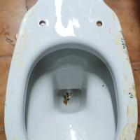 wc Liuto per cass. ceramica