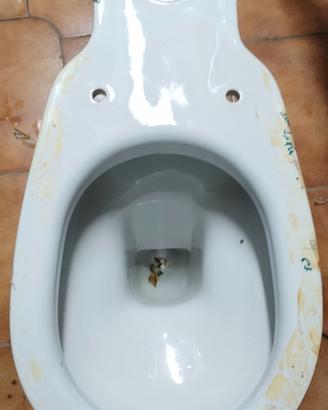 wc Liuto per cass. ceramica