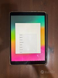 iPad Pro 10.5 Wi-Fi + Cellular 256gb