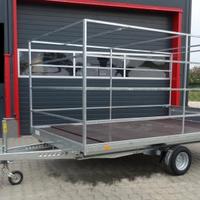 Rimorchio pianale 3 x 2, 4 x 2, 5 x 2 mt. mc 1500