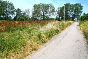 TER. AGRICOLO A EBOLI