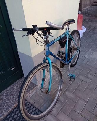 Mountain bike