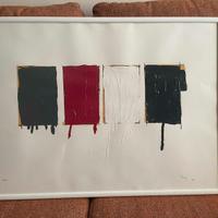 Mario schifano-Monocromi