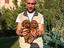 Immagine 1