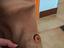 Immagine 2