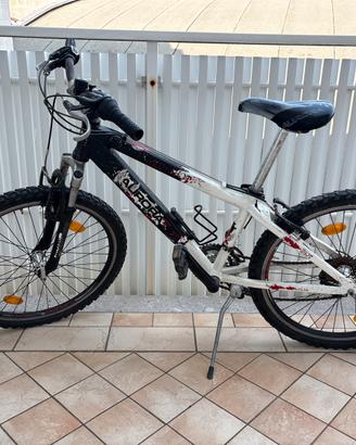 Bicicletta