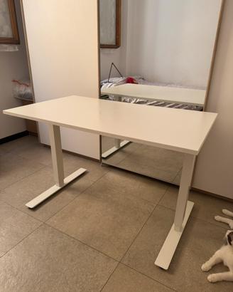 Scrivania Ikea modello Trotten bianca