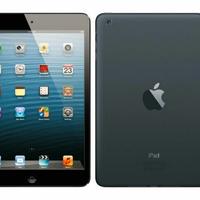 Apple iPad mini 1.ª Generazione