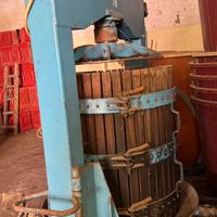 Torchio con pressa verticale e diraspatrice