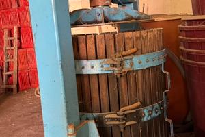 Torchio con pressa verticale e diraspatrice